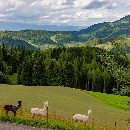 Hébergement de vacances Birker *