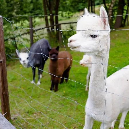 Birker Hébergement de vacances Kleinfeistritz