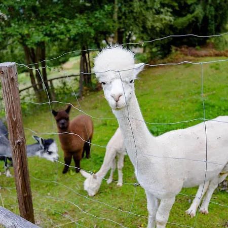 Semesterbostad Birker *