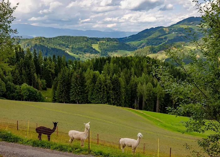 بيت للعطل Birker *