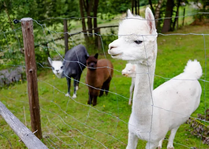 Birker بيت للعطل Kleinfeistritz